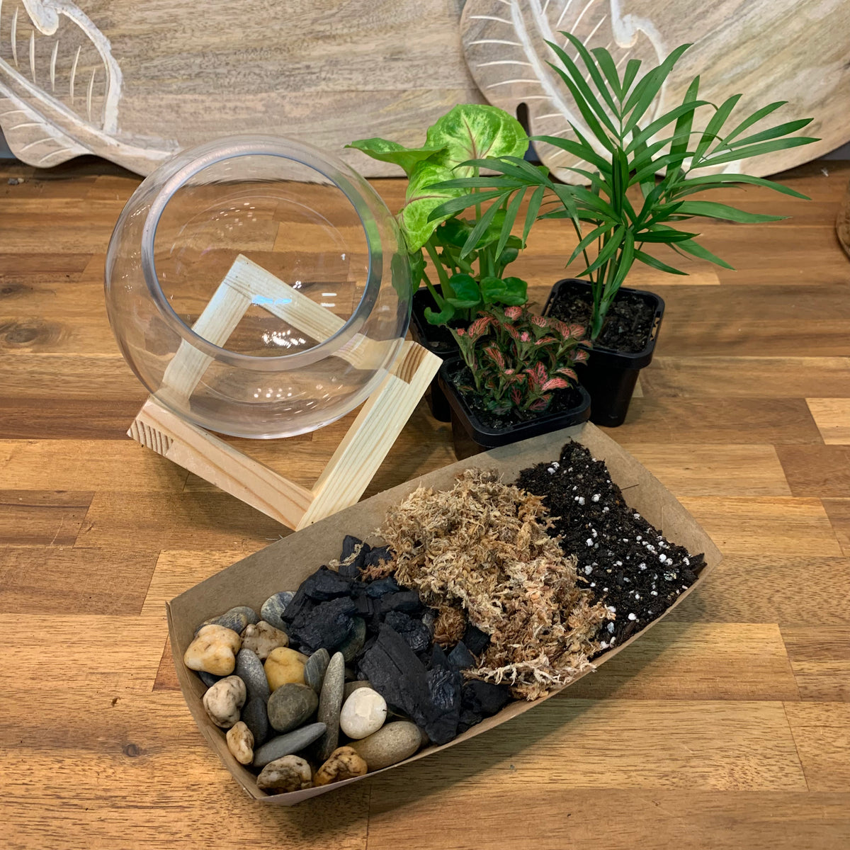Open Geo Terrarium DIY Kit - Plant Homewares &amp; Lifestyle