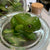 Large Frog - Terrarium Figurines - Plant Homewares & Lifestyle