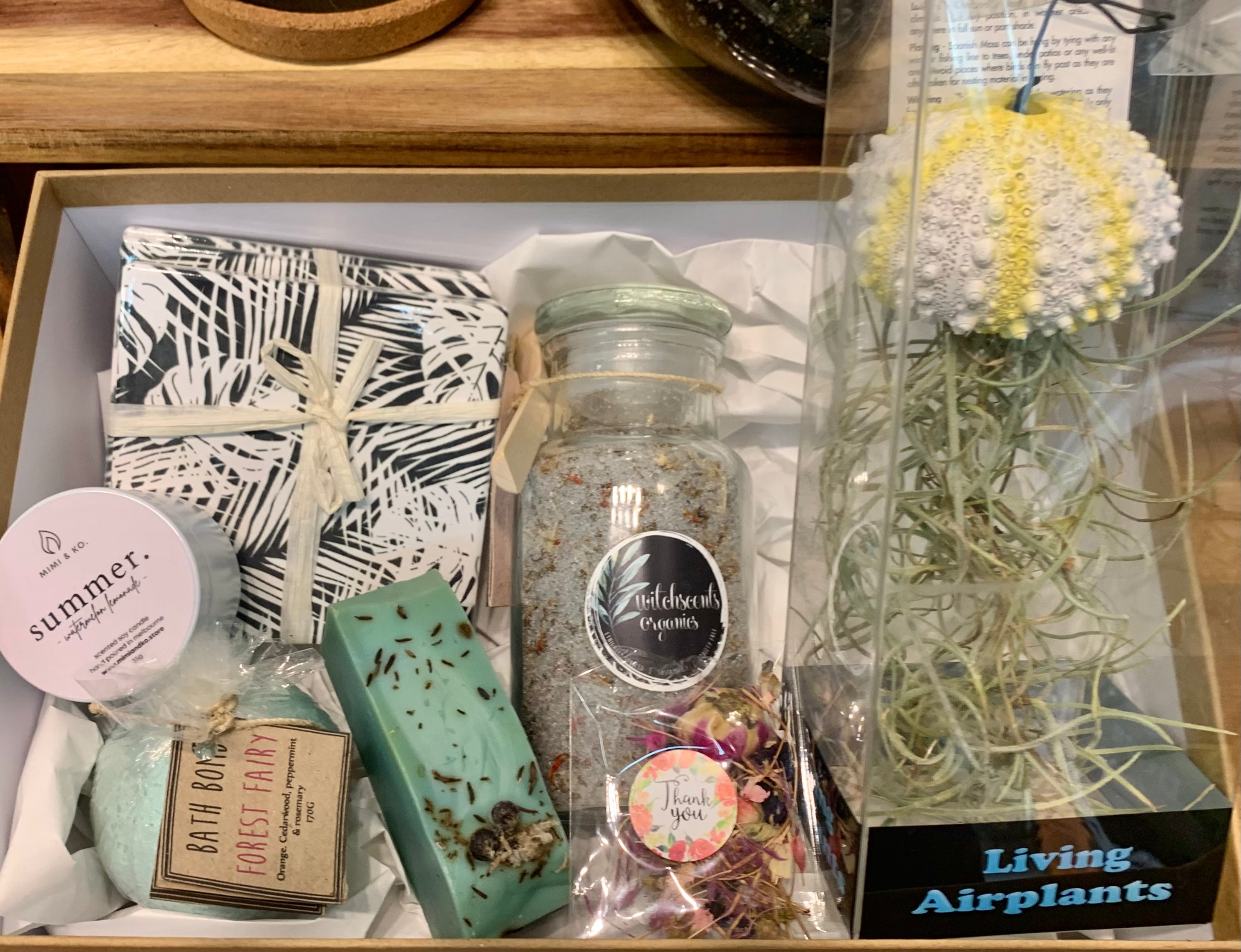 Plant Lover Gift Box - Plant Homewares & Lifestyle