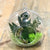 Preserved Moss Ball - Plant Homewares & Lifestyle