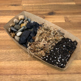 Basic Soil Terrarium DIY Kit - Plant Homewares & Lifestyle